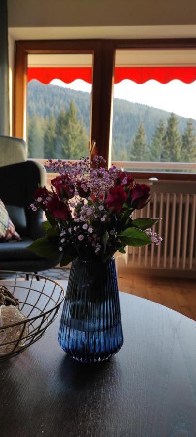 Ferienwohnung Tannenballett Im Schwarzwald Baiersbronn Kültér fotó