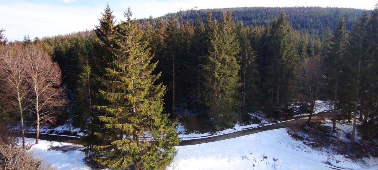 Ferienwohnung Tannenballett Im Schwarzwald Baiersbronn Kültér fotó