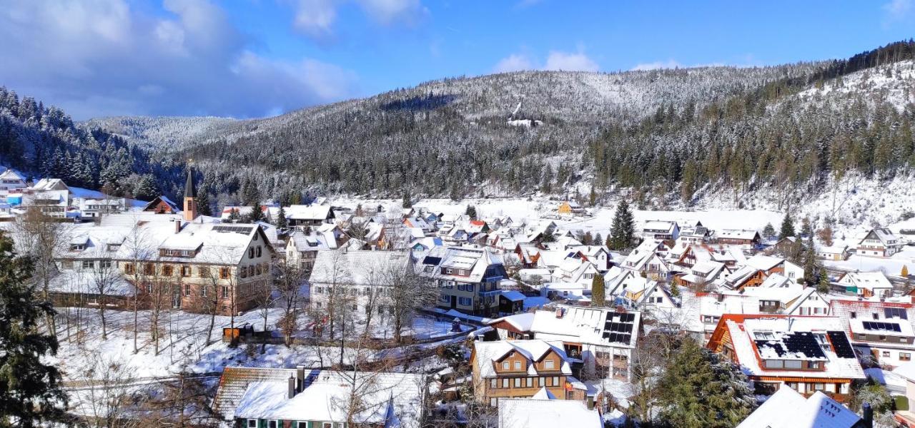 Ferienwohnung Tannenballett Im Schwarzwald Baiersbronn Kültér fotó