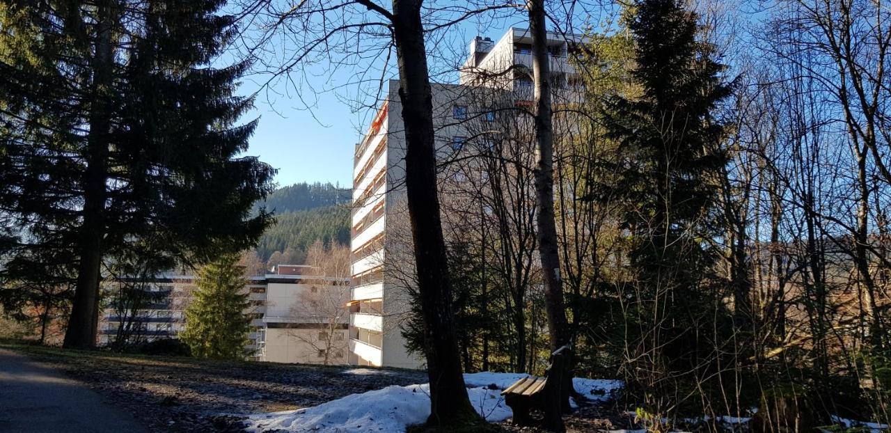 Ferienwohnung Tannenballett Im Schwarzwald Baiersbronn Kültér fotó