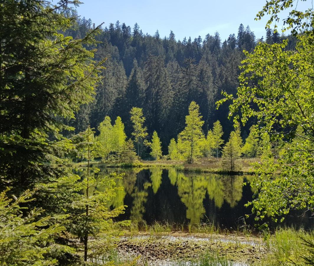 Ferienwohnung Tannenballett Im Schwarzwald Baiersbronn Kültér fotó