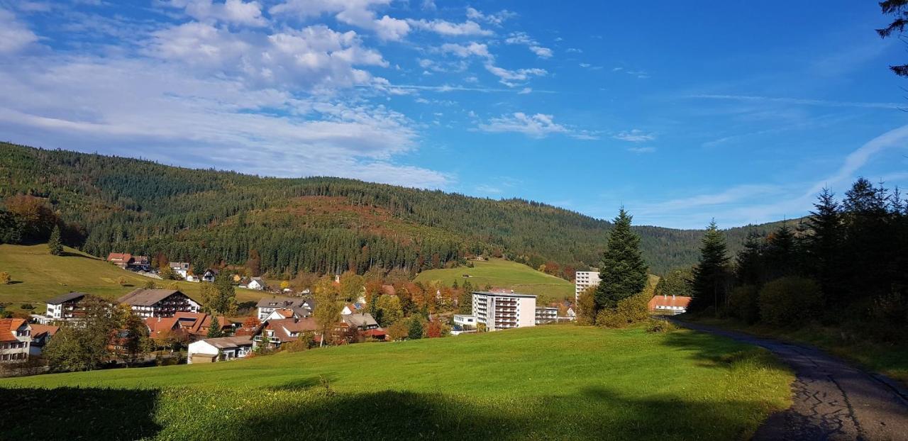 Ferienwohnung Tannenballett Im Schwarzwald Baiersbronn Kültér fotó