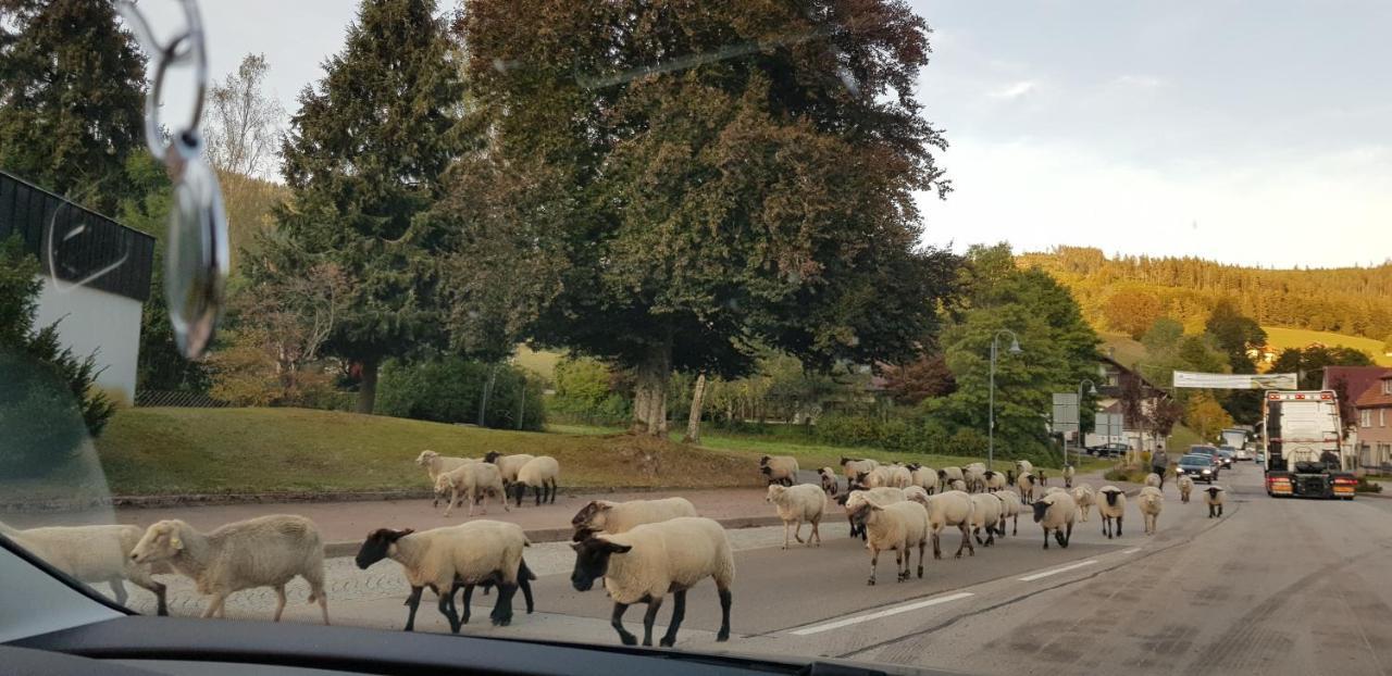 Ferienwohnung Tannenballett Im Schwarzwald Baiersbronn Kültér fotó