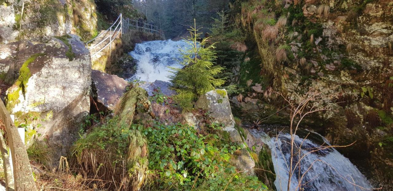 Ferienwohnung Tannenballett Im Schwarzwald Baiersbronn Kültér fotó