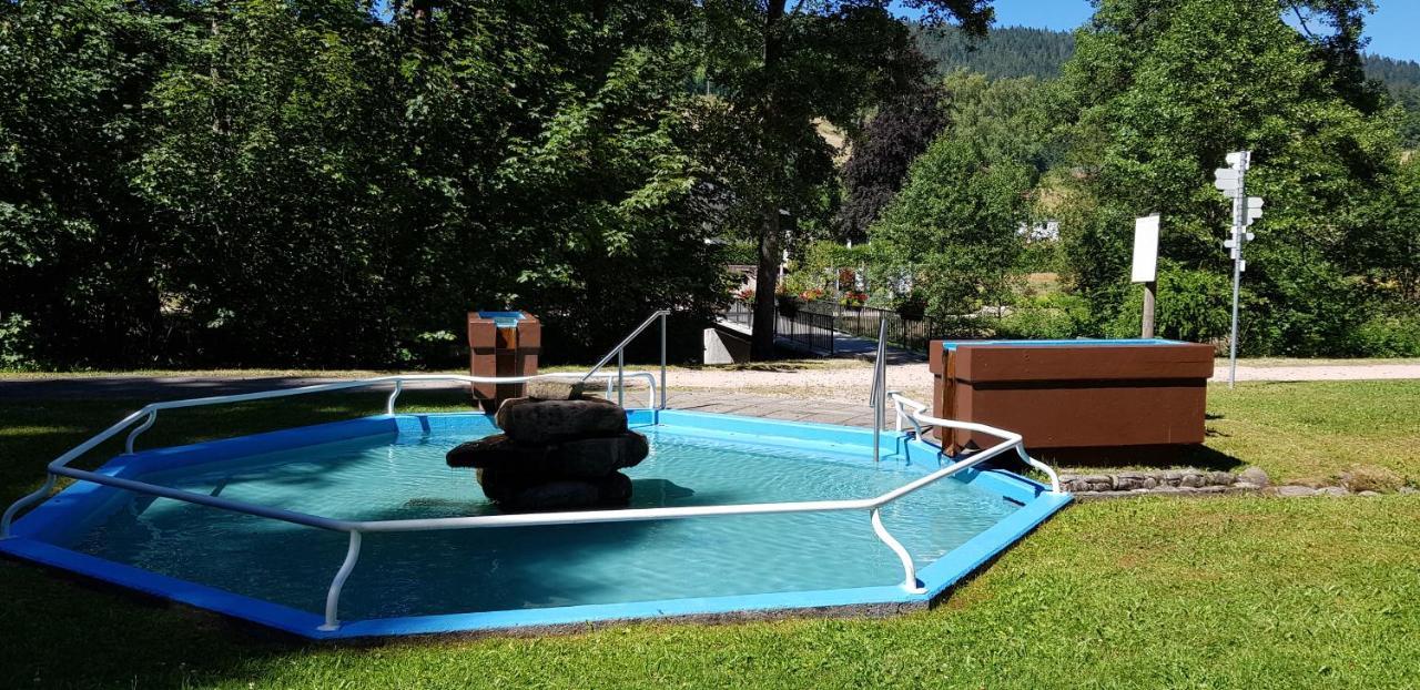 Ferienwohnung Tannenballett Im Schwarzwald Baiersbronn Kültér fotó