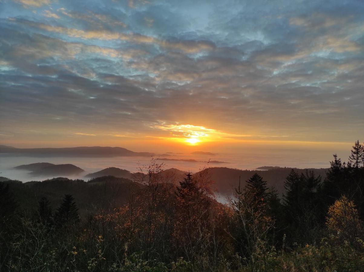 Ferienwohnung Tannenballett Im Schwarzwald Baiersbronn Kültér fotó