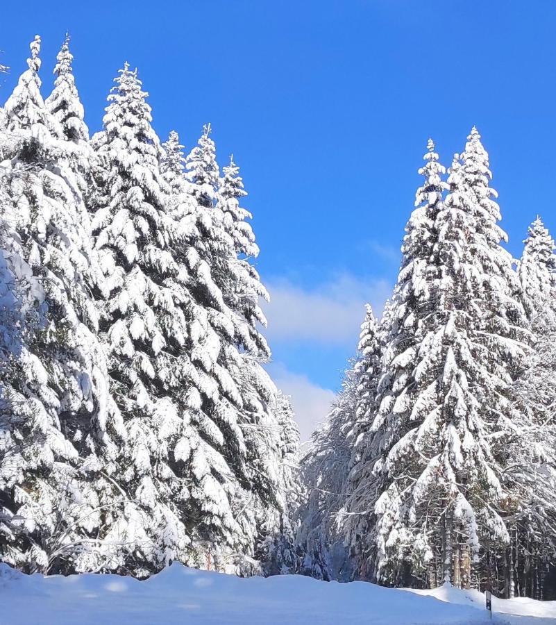 Ferienwohnung Tannenballett Im Schwarzwald Baiersbronn Kültér fotó