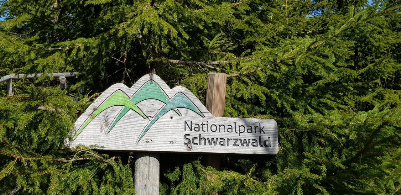 Ferienwohnung Tannenballett Im Schwarzwald Baiersbronn Kültér fotó