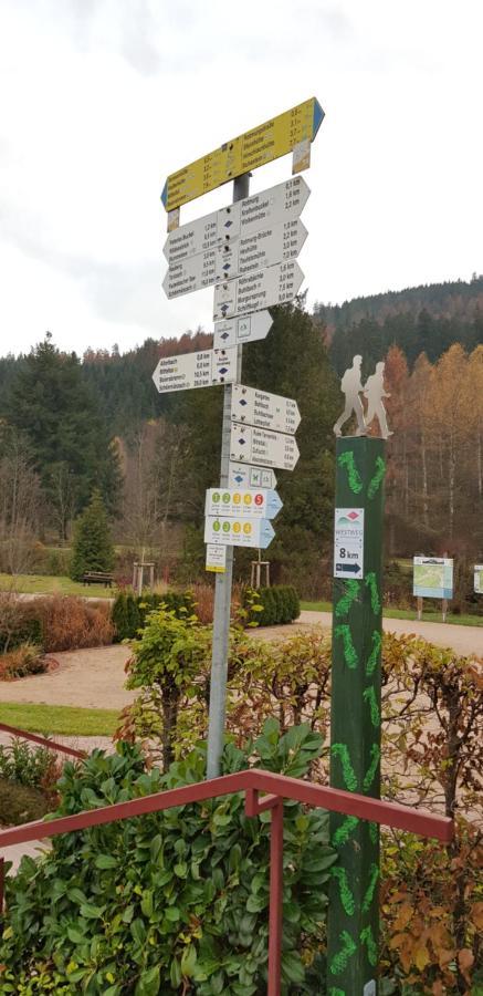 Ferienwohnung Tannenballett Im Schwarzwald Baiersbronn Kültér fotó