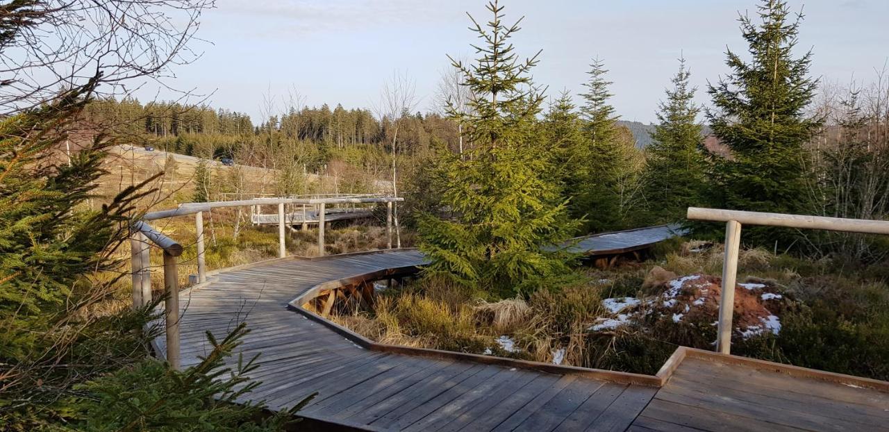 Ferienwohnung Tannenballett Im Schwarzwald Baiersbronn Kültér fotó