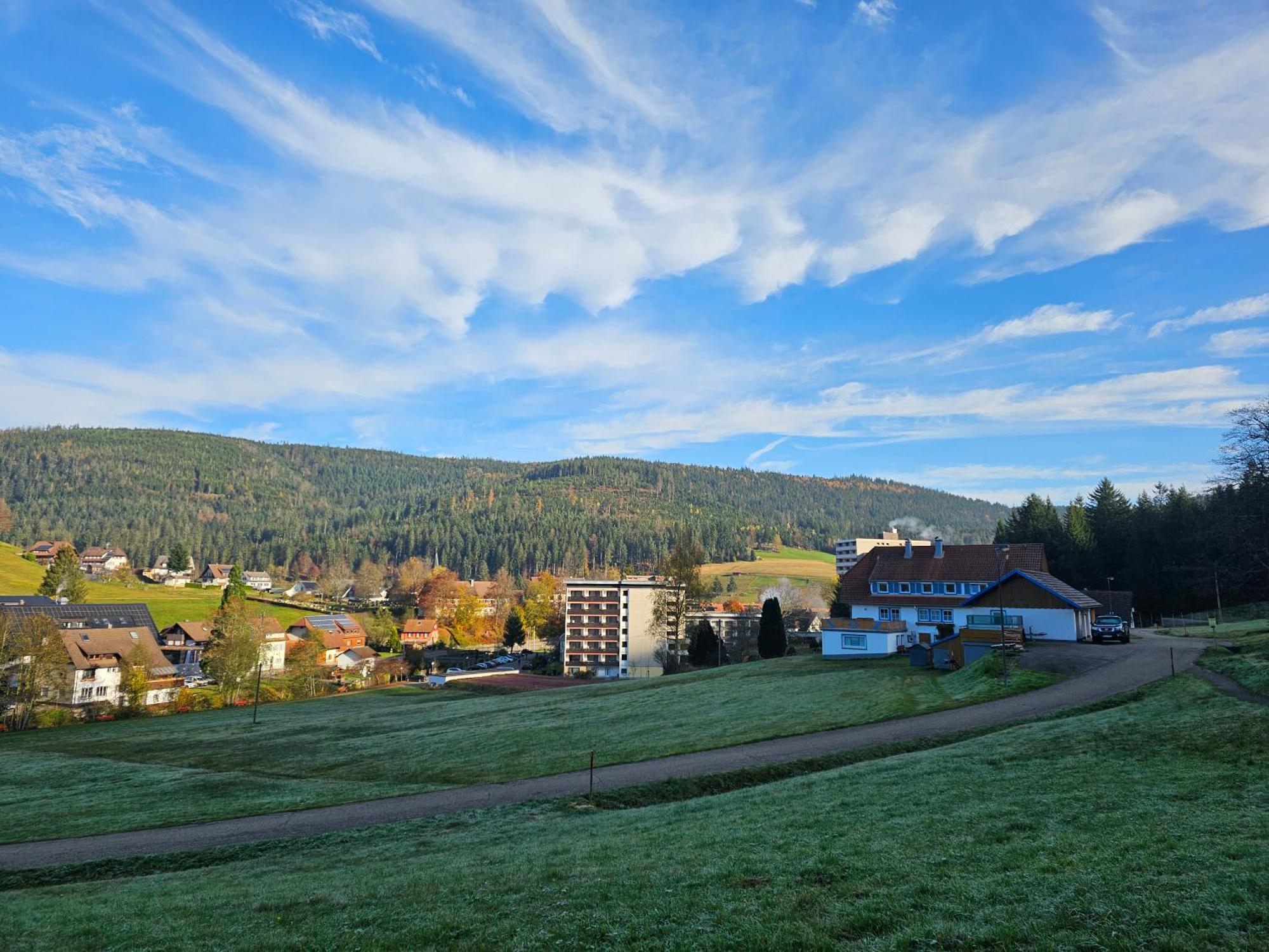 Ferienwohnung Tannenballett Im Schwarzwald Baiersbronn Kültér fotó