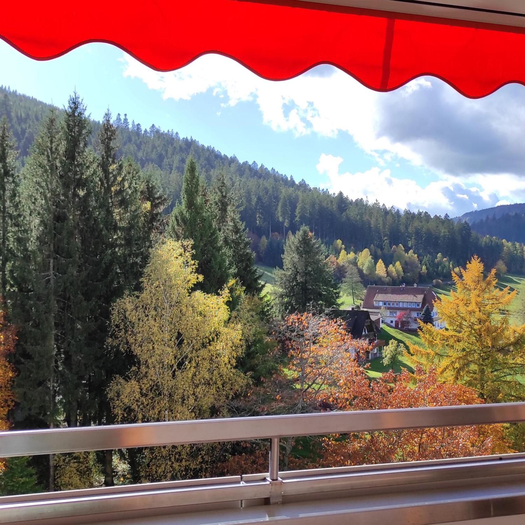 Ferienwohnung Tannenballett Im Schwarzwald Baiersbronn Kültér fotó