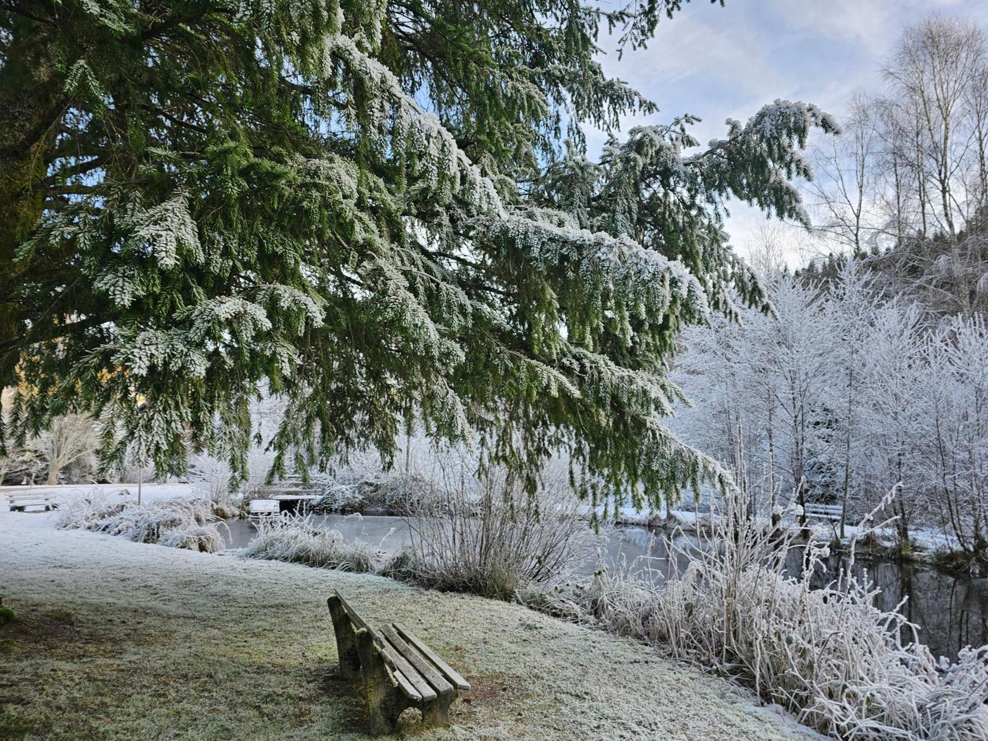 Ferienwohnung Tannenballett Im Schwarzwald Baiersbronn Kültér fotó